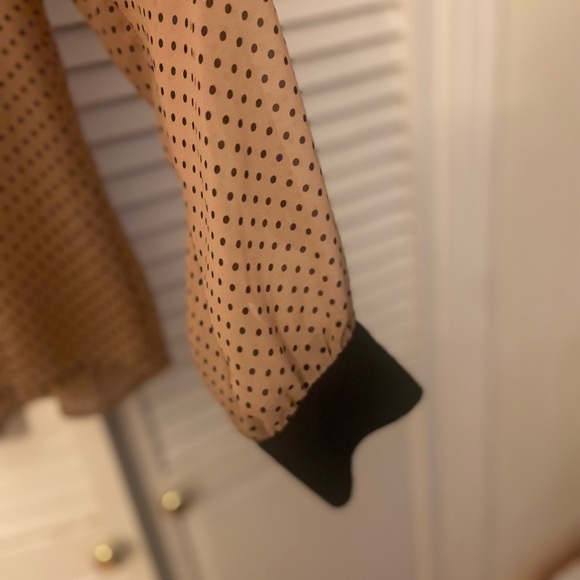 Long sleeve polka dot sheer button down shirt - Picture 5 of 9